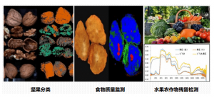高光譜在食品安全的應(yīng)用