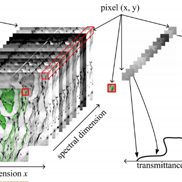 顯微成像技術之——高光譜成像